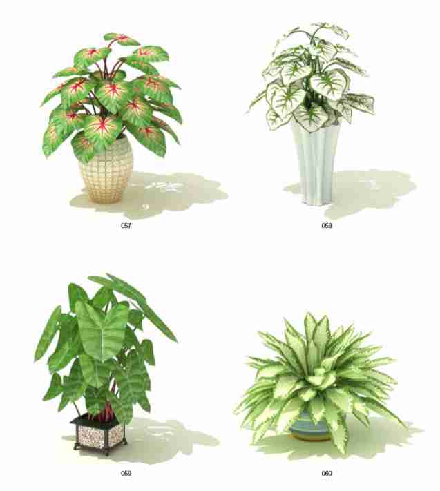 清新绿色植物免费下载