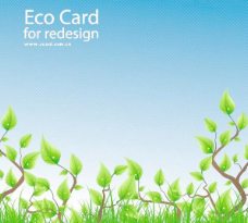 春天的气息草绿色叶