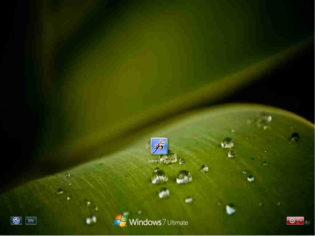 养眼绿色植物win登录界面