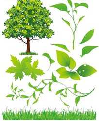 绿色植物适量图