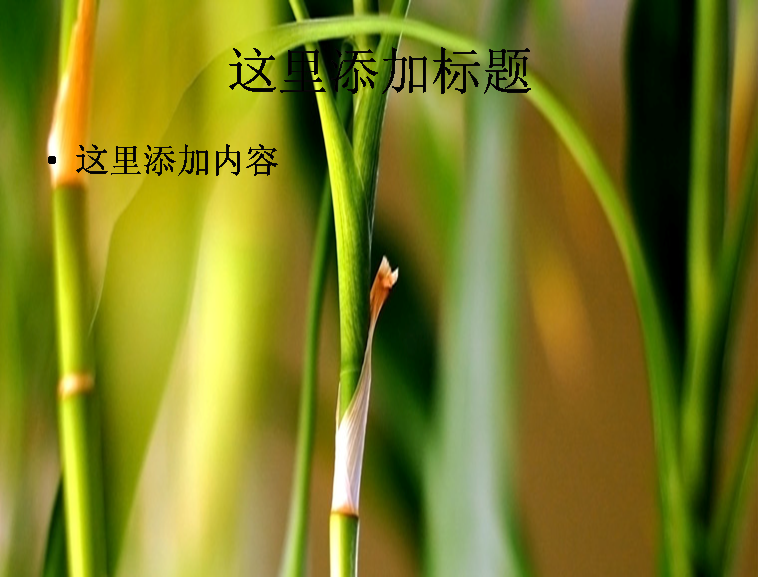 春天绿色植物ppt封面