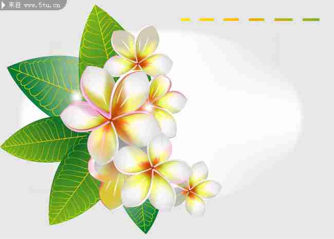 绿色植物矢量图__广告设计