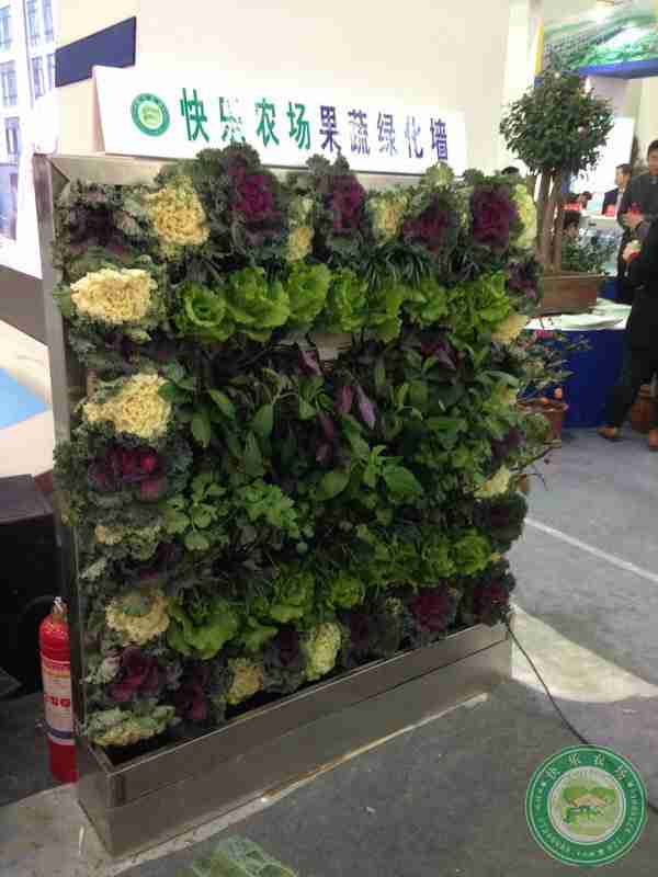 绿色植物墙_图片搜索