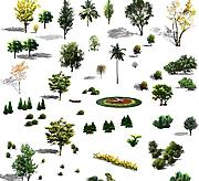 绿色植物图片_psd园林设计