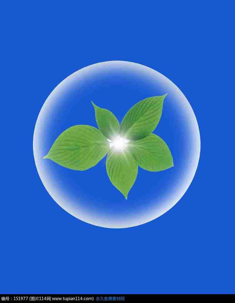 绿色植物设计图__背景底纹