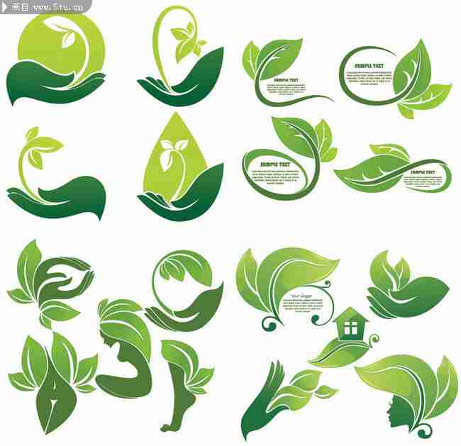 绿色植物图案