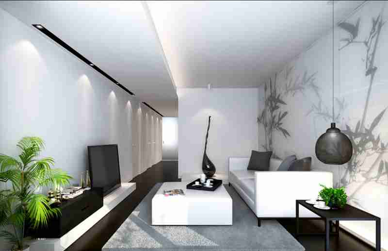 室内的一种绿色植物