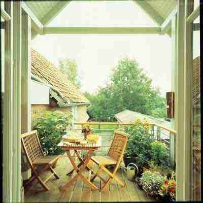 绿色植物摆放风水