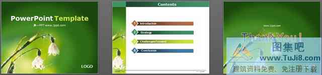 绿色植物鲜花背景ppt模板下载