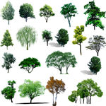 绿色植物设计图