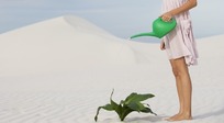 白色沙漠里拿着洒水壶为绿色植物浇水的女子图片