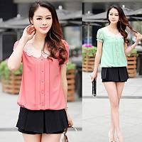 深圳室内盆栽观叶植物