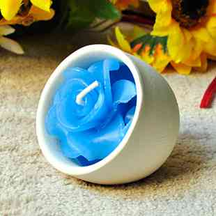 盆栽植物香草花草卉籽