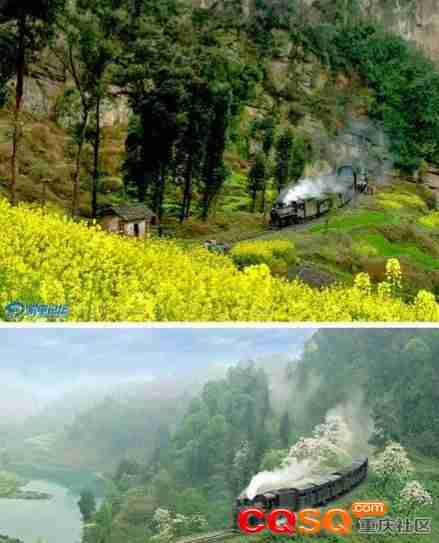 公园里植物种类繁多|花卉各异