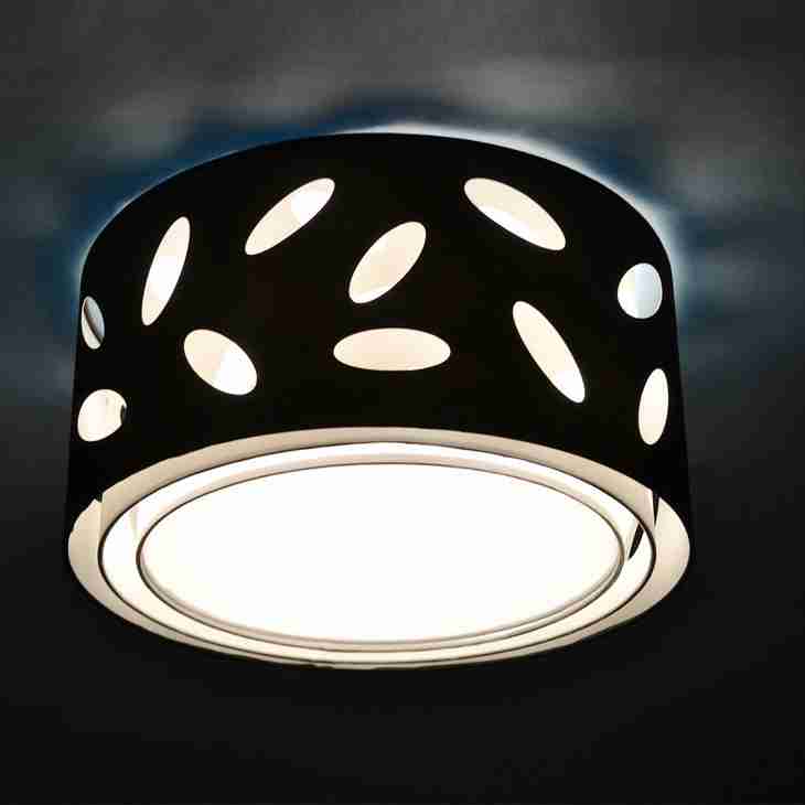 绿植观叶盆景大型植物