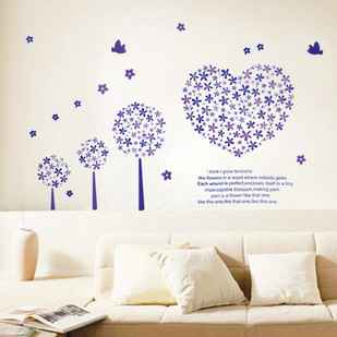 盆栽植物文竹苗