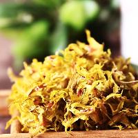 记载的药用兰科植物