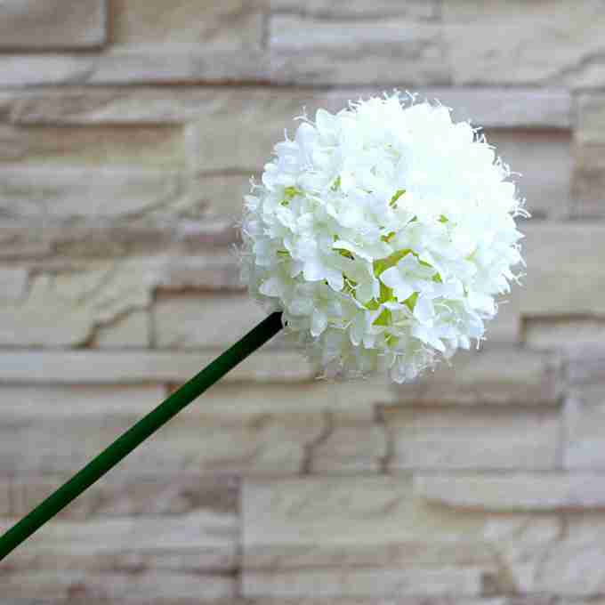 植物花艺搭配花束白色