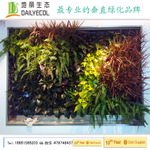 植物墙绿化工程景观墙立体种植垂直种植自动循环滴灌