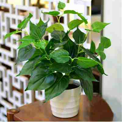 仿真植物盆景绿植塑料盆栽植物装饰假小绿植盆栽室内