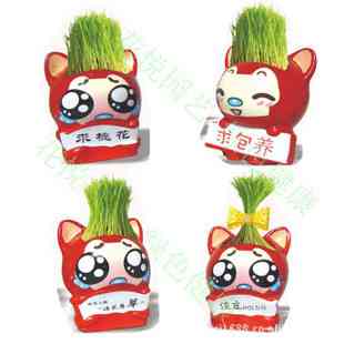 创意迷你绿色植物盆栽