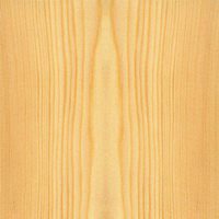 松木是一种针叶植物常见的针叶植物