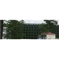 广州植物墙设计安装@广州室内植物墙