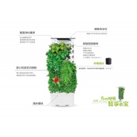 方形植物墙智慧e宝