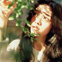 一株生长缓慢的植物