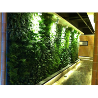 仿真植物墙公司龙头企业美居植物墙公司