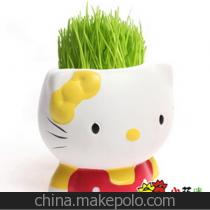 创意迷你植物hellokitty