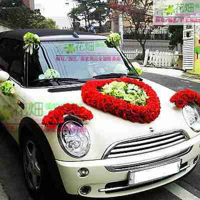 培植物用陶粒l装