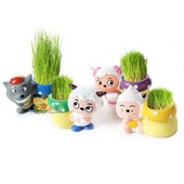 草头娃娃迷你植物盆栽