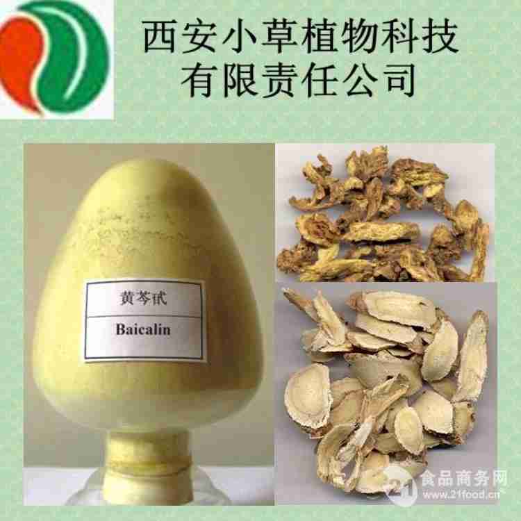 西安小草植物科技