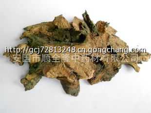 供应植物原药材地榆中药饮片地榆