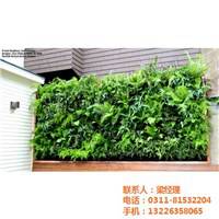 铭秀立体图|植物墙报价|植物墙