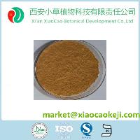 瓦内脂西安小草植物科技