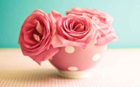 桌面唯美花卉图片