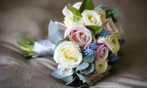 一束唯美鲜花图片_花草树木图片