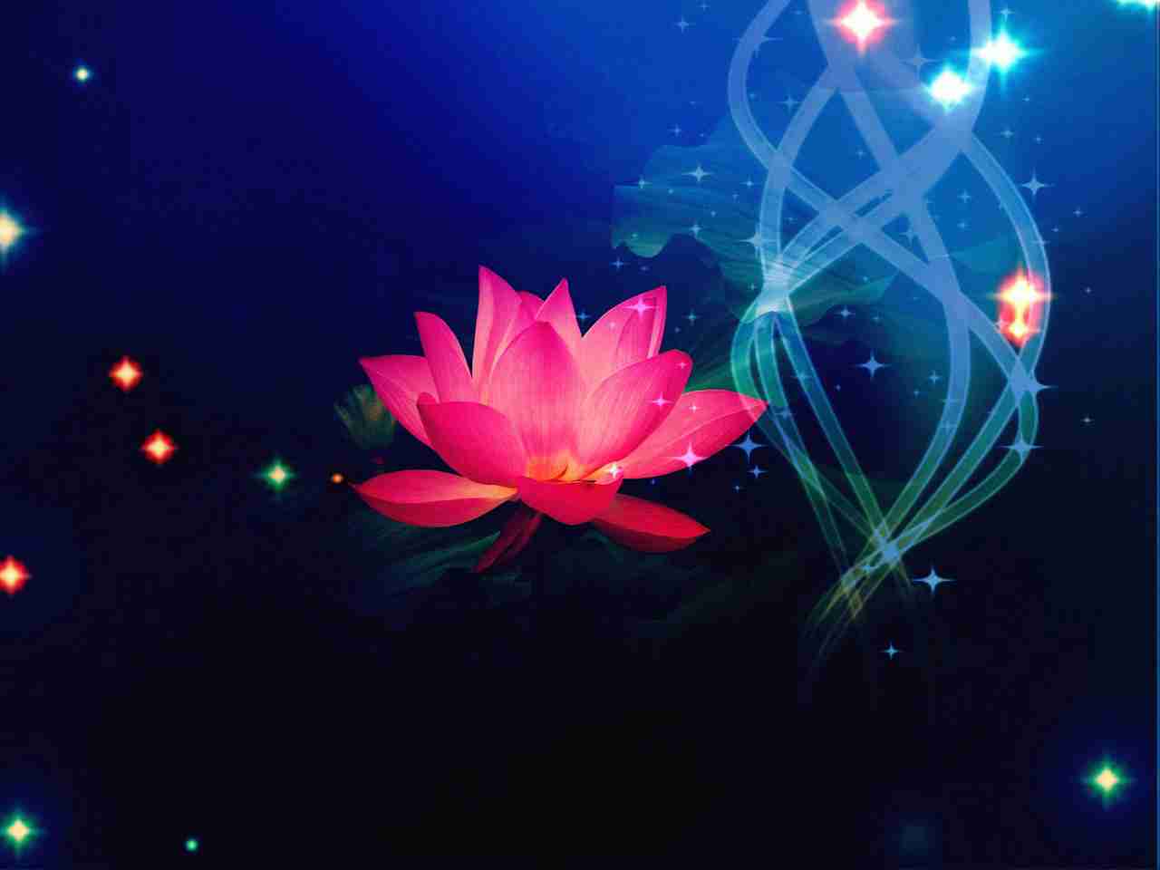 唯美花卉生态摄影poco摄影作品展示