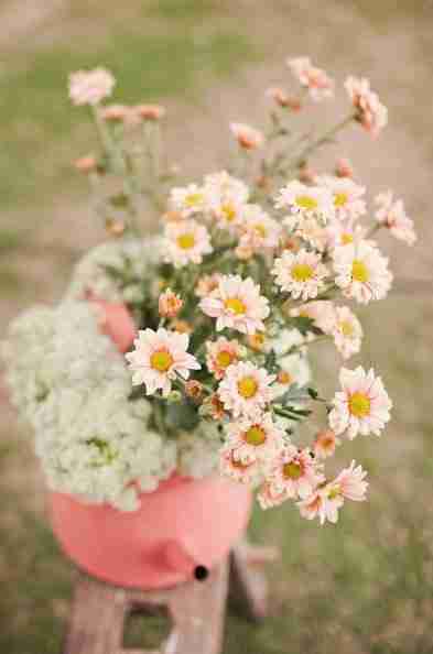 唯美鲜花开放图片