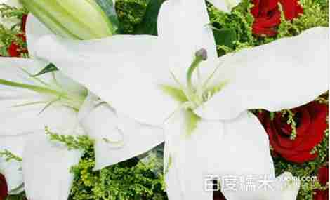 唯美鲜花_潍坊_百度地图