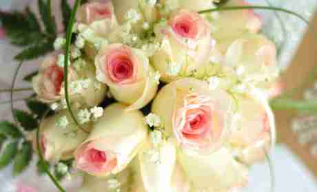 遵义唯美鲜花坊团购唯美鲜花坊感恩祝福团购