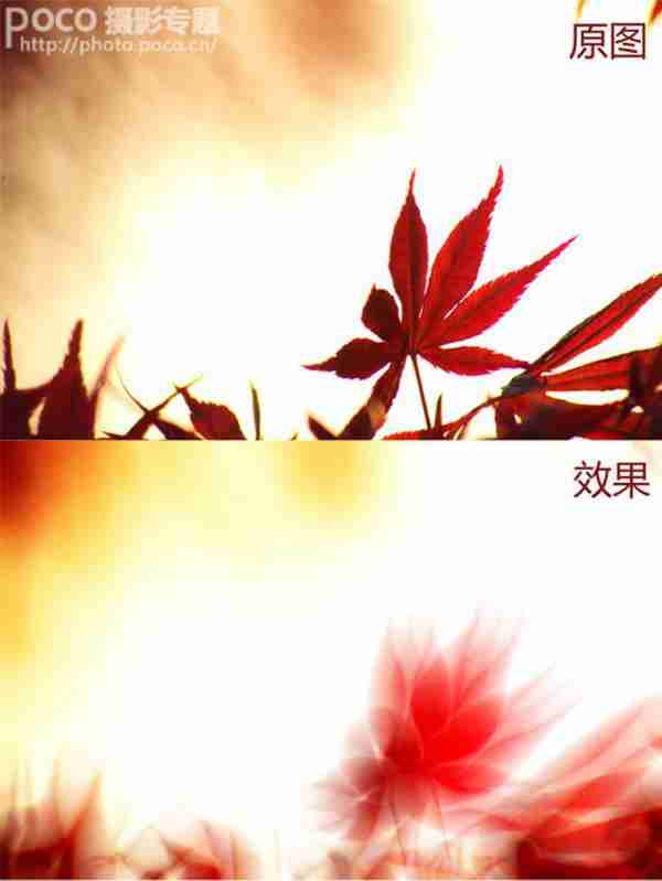 教你禅意唯美花卉ps技巧