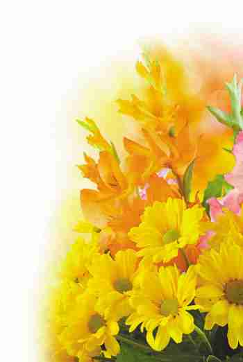 唯美鲜花背景图片