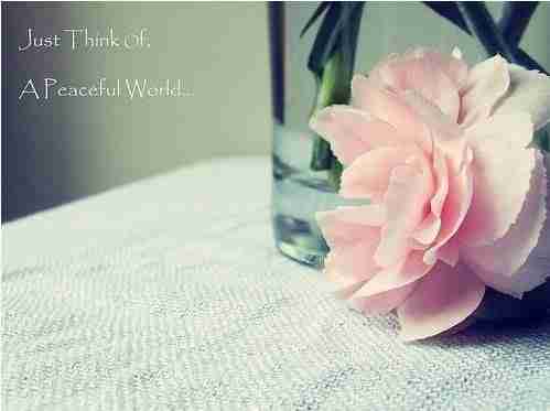 唯美小清新花卉图片