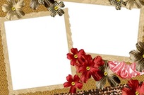 唯美花卉相框图片