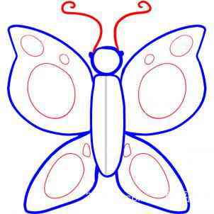 如何画蝴蝶蝴蝶简笔画步骤图