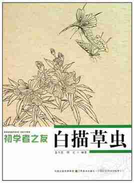 初学者之友白描荷花