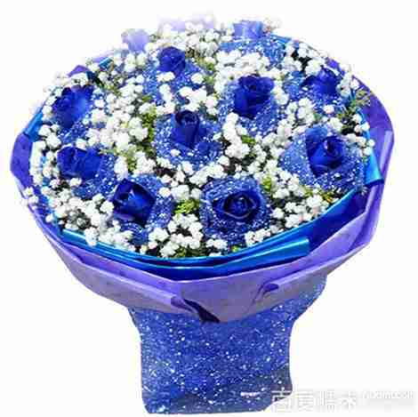 鲜花速递枝玫瑰花蓝色妖姬